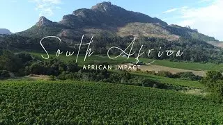 Volunteer in South Africa with African Impact
