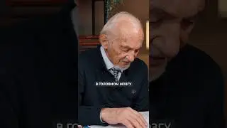 Биогенные амины для здоровья мозга