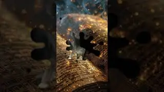 பணம் உங்களைத் தேடி வர வேண்டுமா  Wealth Attraction Secret Tamil  Lakshmi Energy #shorts