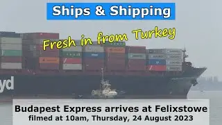 Fresh in from Turkey - Budapest Express arrives in rainy Felixstowe on Thursday, 24 August, 2023
