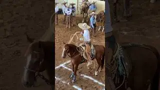 Por que isso acontece com os cowboys? 🤔