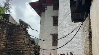 Tango Cheri Monastery Hiking 登古寺健行 9/17/2025