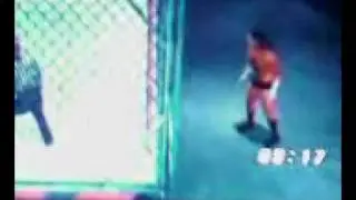 glitch in smackdown vs raw 2006 cage match