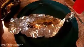 Common Shiner Catch and Cook