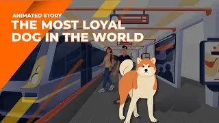 The Most Loyal Dog on Earth | Animated Story of Hachiko