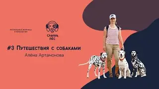 Подкаст Слышь, пёс #3 Путешествия с собакой