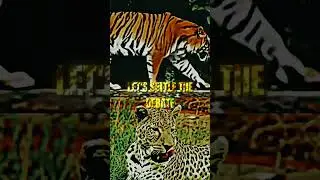 Lazy Debate Edit #viral #edit #short #animals