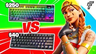 SteelSeries Apex Pro VS Budget Gaming Keyboard (Fortnite)