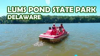 Lums Pond State Park, Delaware