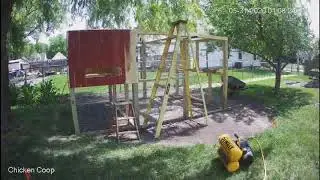 Chicken Coop with run, Day 10
