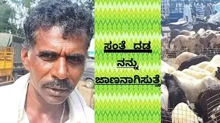 The last episode of tumkur sheep goat market@ agrianimals