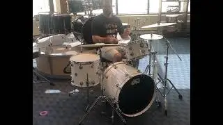 DW Collector Exotic Series (Cherrywood Shells 🍒) in Piano White