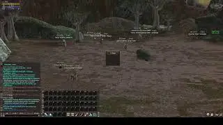 Shadith cam