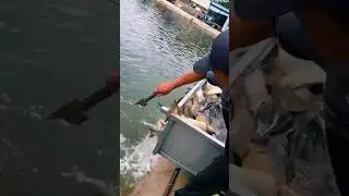 Farming Fish videos, Village FisherMan, Best unbelievable fishing Ornamental fish farming simulator👌