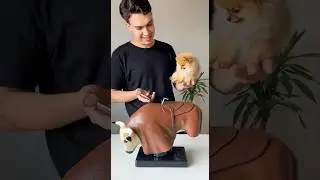 Comprei um mini touro mec&acirc;nico para o meu cachorro