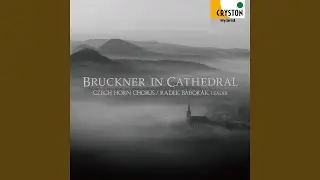 Mass in C Major, WAB 25, 