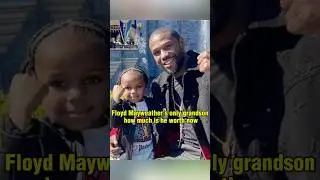 Единственный внук Флойда Мейвезера, сколько он сейчас стоит?