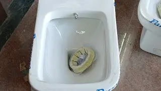 English seat lagane ka Sahi tarika How to make full installation WC seat