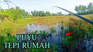 #EP963 Tepi Rumah pun Banyak Ikan - mancing puyu
