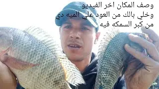 والله لو مش ايدك علي العود  لتنزل تجيبه من الميه من حجم السمك الي فيها  مش مصدق ادخل شوف حاجه تخض