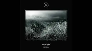 Resilient - Vision Beat (Original Mix)