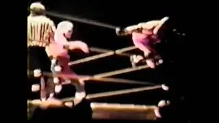 The Valiant Brothers (Jimmy Valiant and Johnny Valiant) vs Larry Zbyszko and Tony Rocco
