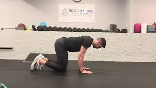 Scap Press (Quadruped)