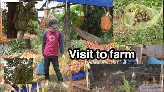 #KH Visit to farm Survival Skill