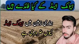What are the benefits of humic acid |Why is humic acid necessary in our lands?