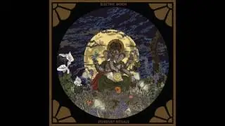 Electric Moon - Stardust (The Picture)