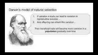 W25 - Population Genetics &ndash; Day 1