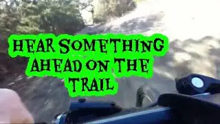 Trail ride gone wrong