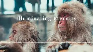 Illuminating Eternity - World, Score, Asian, Japanese, Orchestral, Cinematic