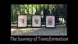 The Journey of Transformation | Multimedia Time-lapse | ❤️