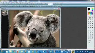 How to add PhotoFiltre Studio X Plugins 