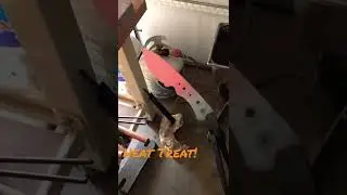 Knife Making - Heat treating an OG Hunter. 1084 steel.