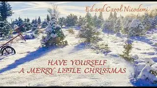 Have Yourself A Merry Little Christmas  (Cover by Ed and Carol Nicodemi)