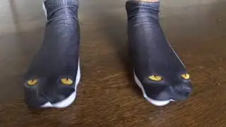 I Bought A Black Cat Socks From Wish!!! | Wish Tiktok Reviews