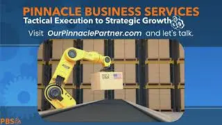Pinnacle Business Services  - The Challenge