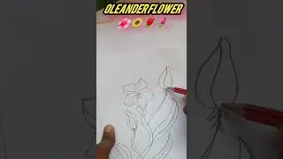 How to draw an Oleander flower easily | Flower drawing #shorts