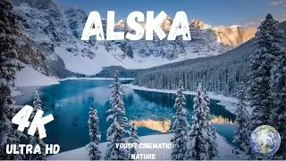 8K Ultra HD Alaska - Wild Nature & Animal Sounds, Relaxing Music for Stress Relief & Sleep