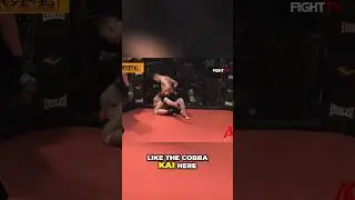 🥊💪 Жестокое избиение загнанного в угол бойца в клетке! Жестокий бой в ММА! 🥊💪