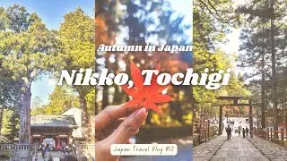 Beautiful Autumn in Nikko Tochigi | Japan Travel Vlog #12