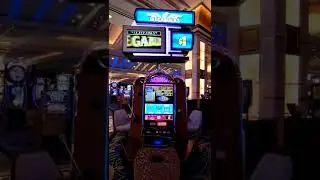 Игровые автоматы Megabucks в Лас-Вегасе! Выигрывайте по-крупному!
