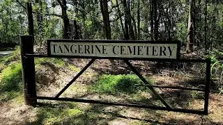 Tangerine Cemetery, Zellwood, Orange County, FL. August, 2023