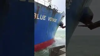 proses tolak mv. blue voyage #seafarer #vessel #ship #shortvideo #views