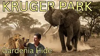 KRUGER PARK Gardenia Hide... always amazing...!