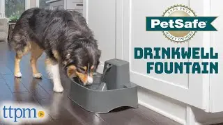 Puppies Review the Drinkwell Pet Fountain from PetSafe!
