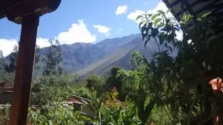 IMGP1995
