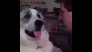 Hey dog ! Your mom looks like a dog